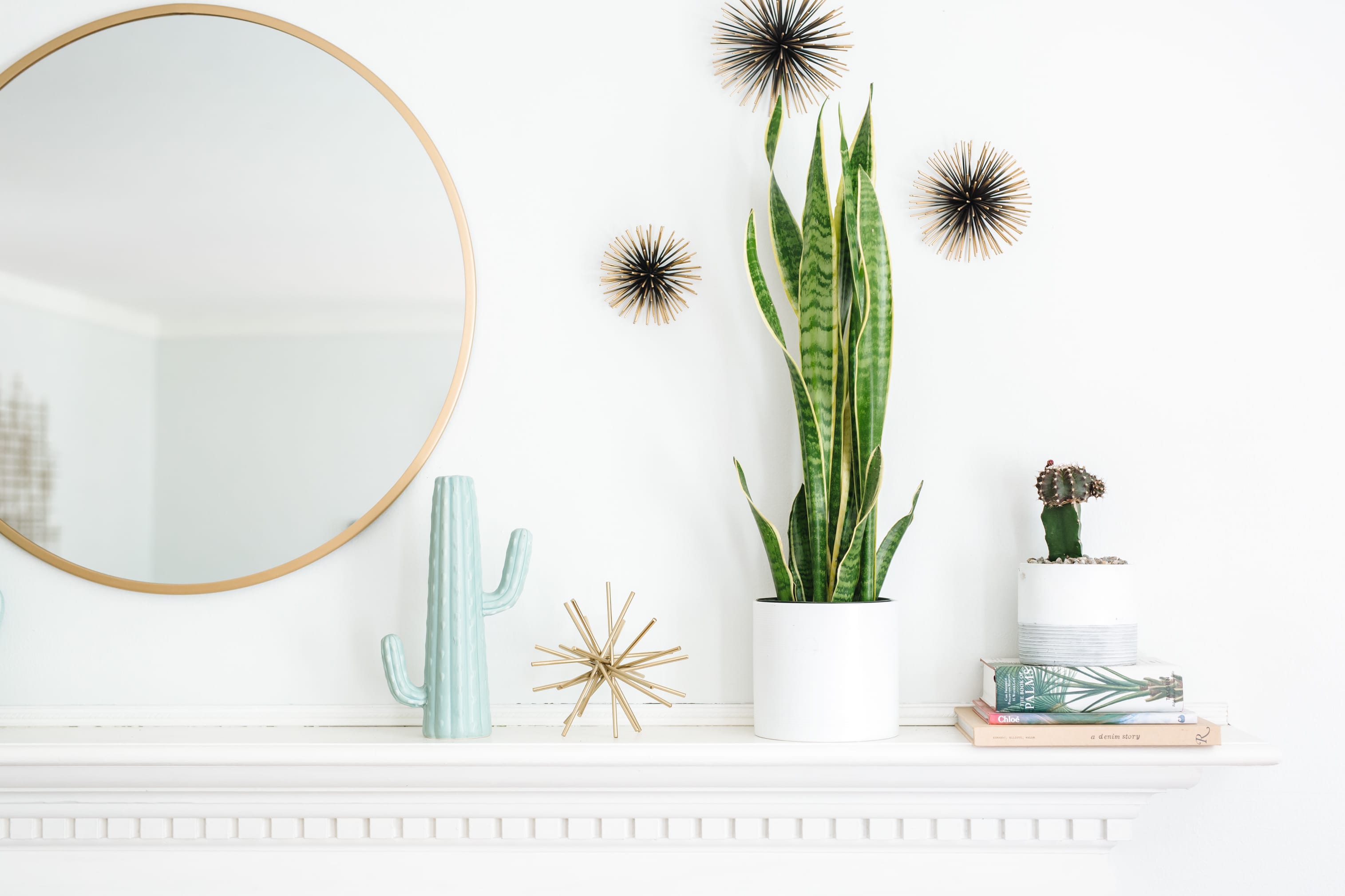 modern bathroom plants